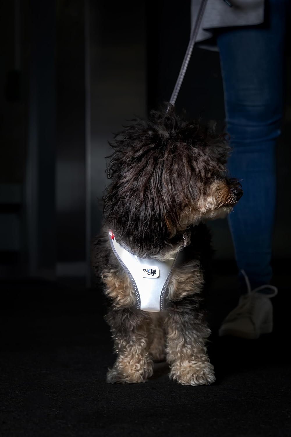 Glow curli Clasp Vest Harness Reflective Gray L, L