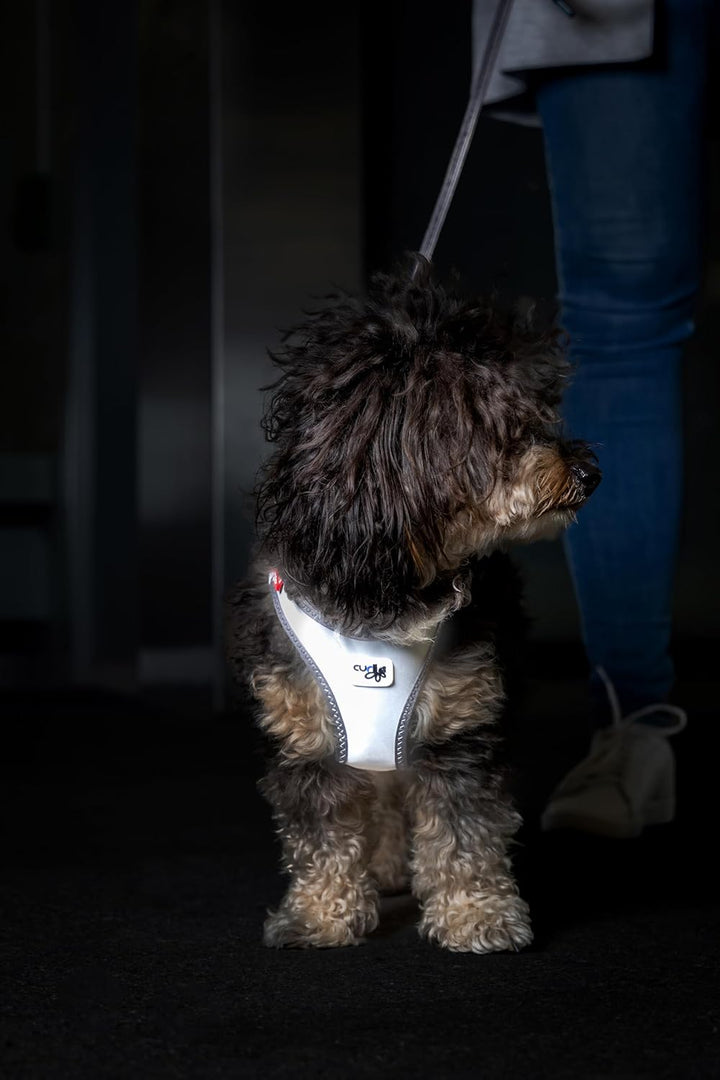 Glow curli Clasp Vest Harness Reflective Gray L, L