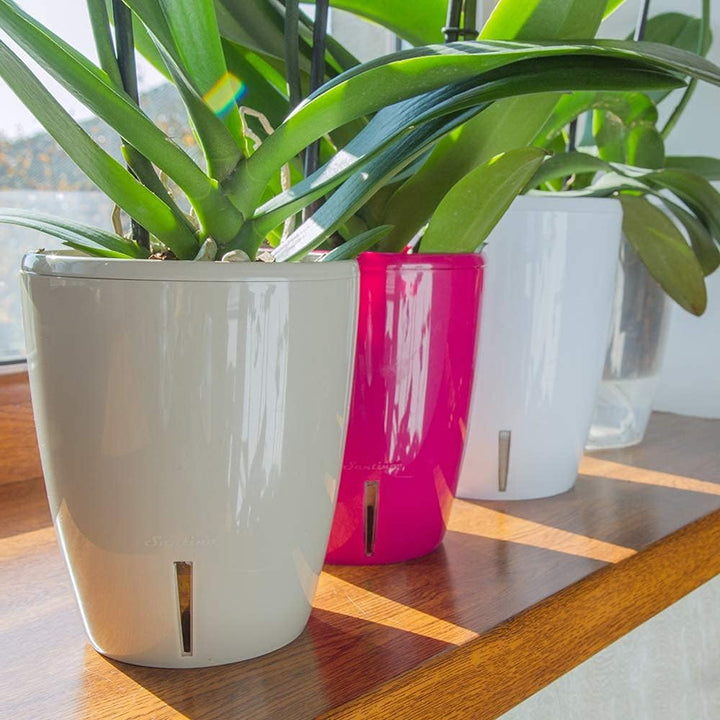 Santino 6er-Set Orchideentopf D 12cm Selbstbewässernder Topf mit Dochtsystem und Wasserstandsanzeige