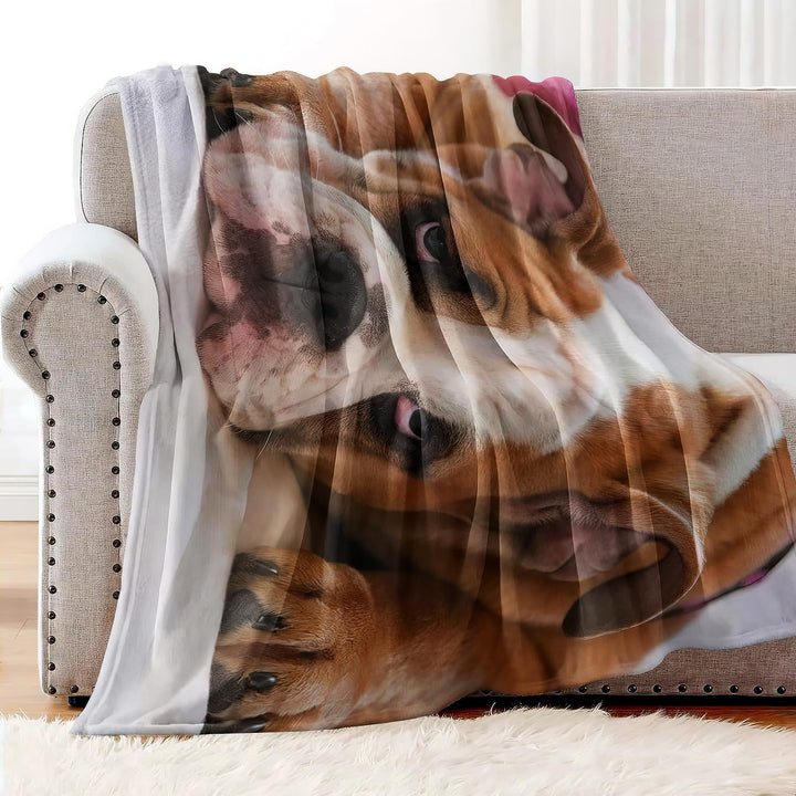 YISUMEI Decke 150x200 cm Kuscheldecken Sanft Flanell Weich Fleecedecke Bettüberwurf Englische Bulldo