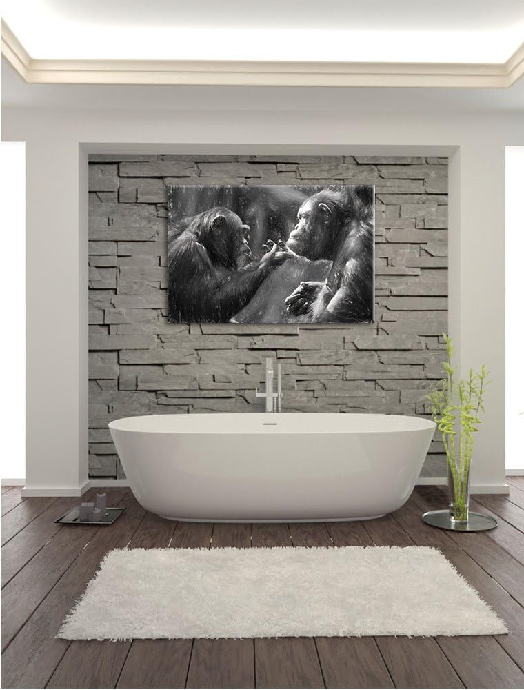 Pixxprint Schimpansen Freundschaft Kunst / 100x70cm Leinwandbild bespannt auf Holzrahmen/Wandbild Ku