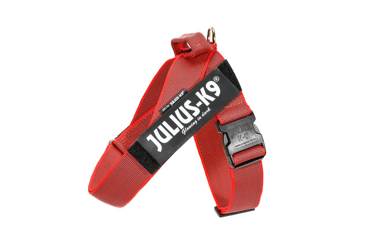 Julius-K9, Color &amp; Gray, Beltgeschirr L / 1 rot-grau, L / 1 rot-grau