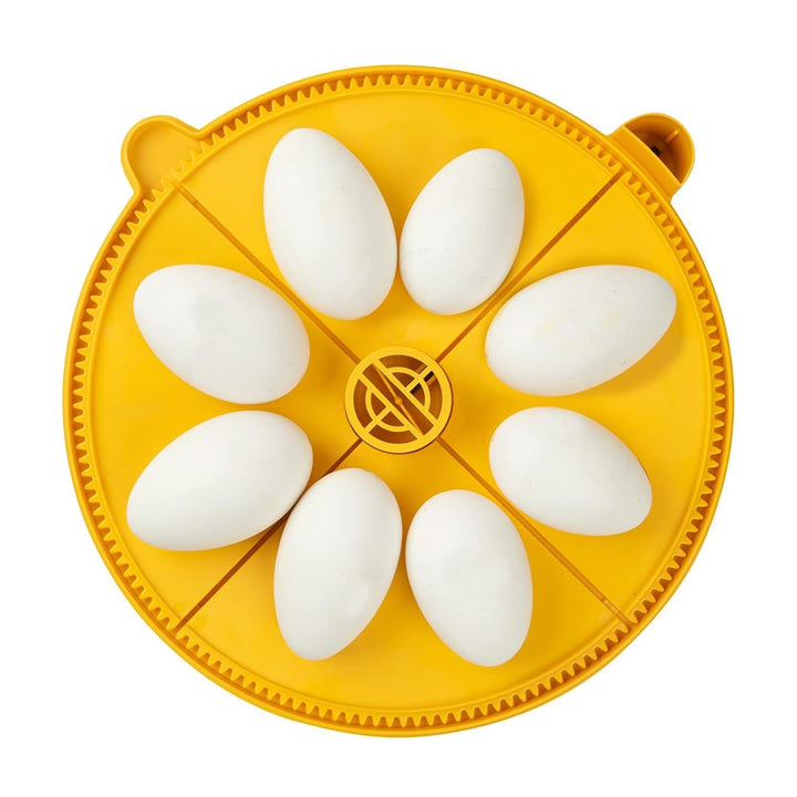 Maxi Advance Inkubator Extra Large Egg Quadrants Insert (8 Gänseeier)