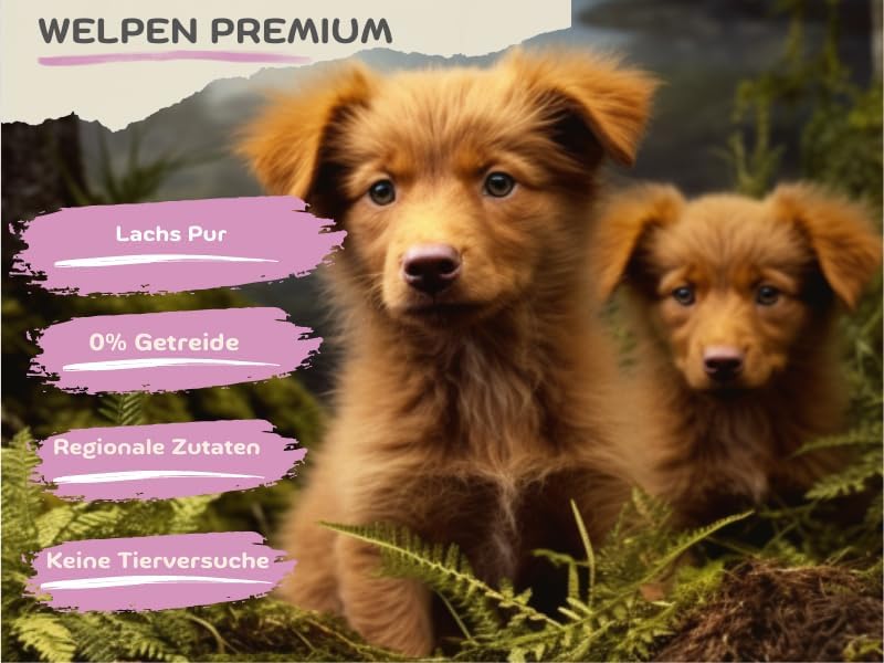 MyPetClub Premium Welpen (1 x 8 kg) Junior Trockenfutter getreidefrei mit Lachs | Hypoallergenes Wel