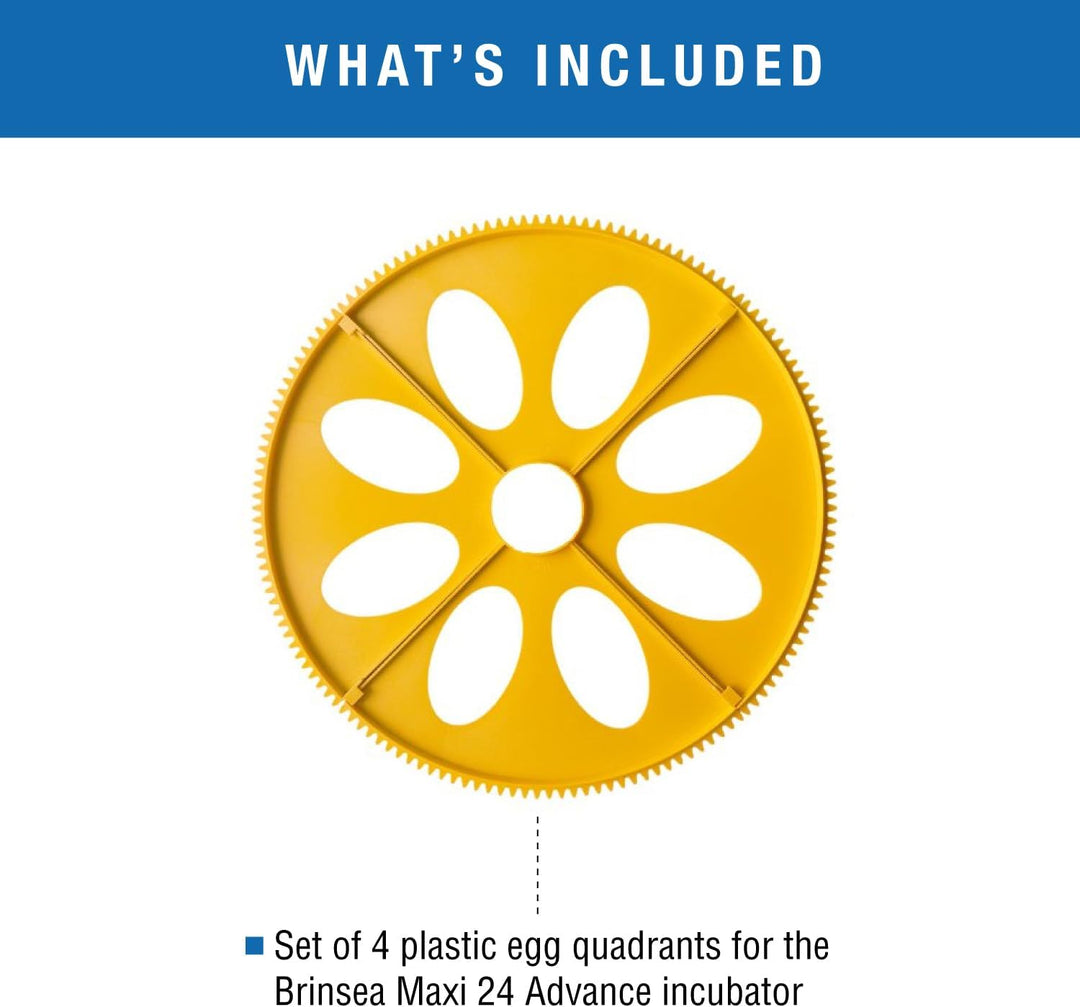 Maxi Advance Inkubator Extra Large Egg Quadrants Insert (8 Gänseeier)