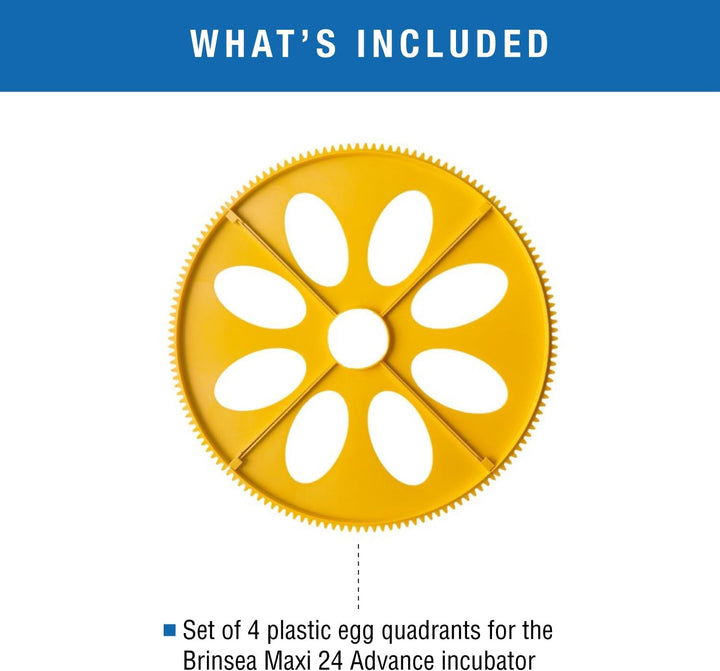Maxi Advance Inkubator Extra Large Egg Quadrants Insert (8 Gänseeier)