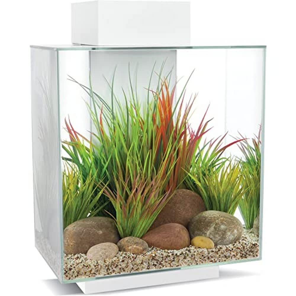 Fluval Edge 2.0 Aquarium, 46L, weiss, 1 Stück (1er Pack) weiss 1 Stück (1er Pack), weiss 1 Stück (1e
