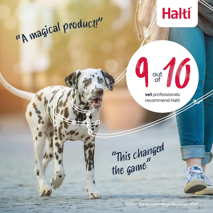 Company of Animals Halti Front Control Gurt und Trainingsleine Kombipackung, Medium Harness, schwarz