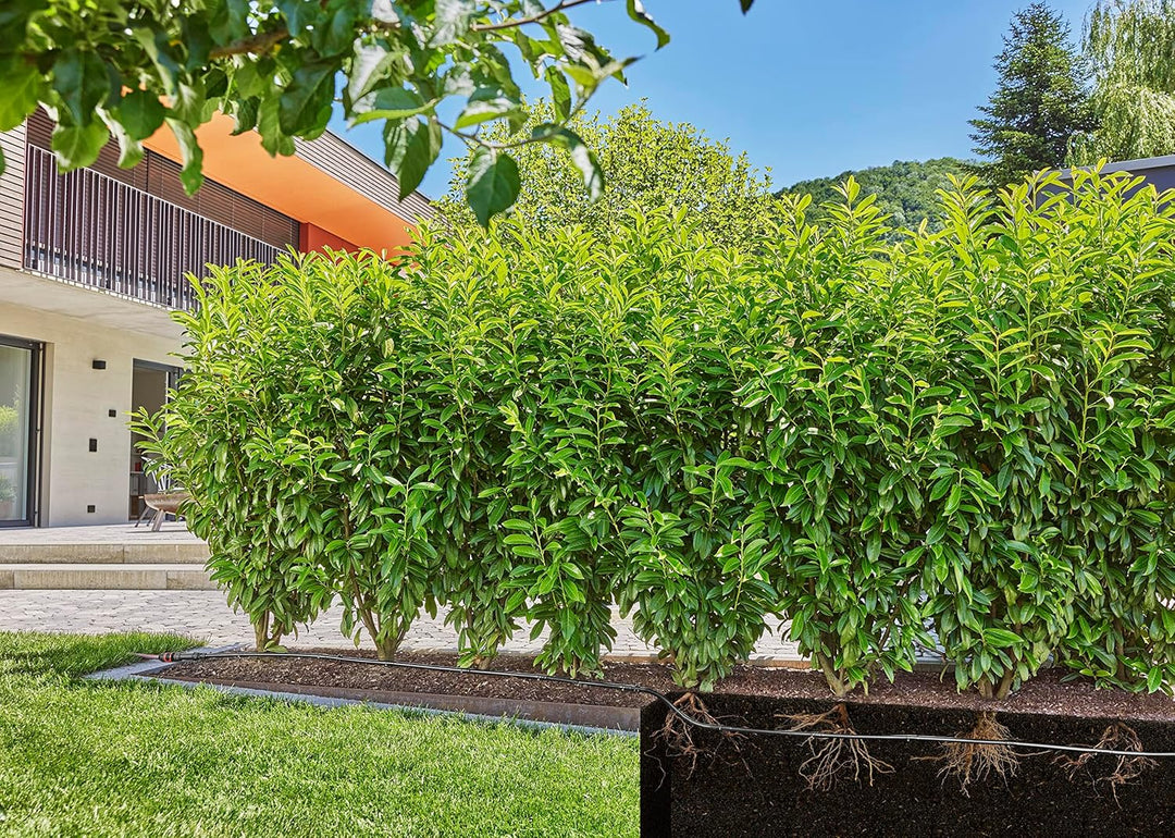 Gardena Micro-Drip-System Tropfrohr über &amp; unter der Erde 50 m, Schwarz