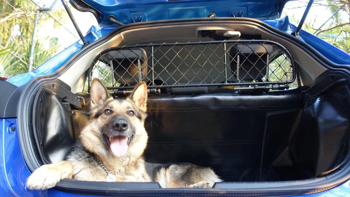 ERGOTECH Trennnetz Trenngitter für Peugeot 5008 (ab BJ 2017), RDA65-S8, für Hunde und Gepäck