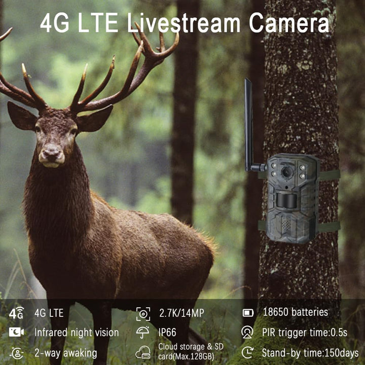 Wildkamera Bewegungsmelder Nachtsicht Wild-Tier-Kamera/Handyübertragung LTE 4G SIM-Karte LIVE APP/Tr