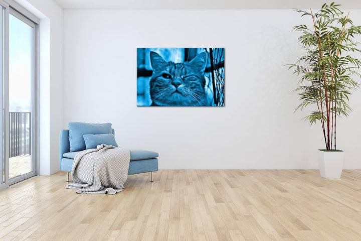 deyoli zwinkernde Katze Format 80x60 Effekt: Monocrome Blau als Leinwandbild, Motiv fertig gerahmt a
