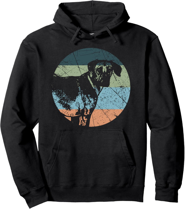 Retro-Hundesilhouette – Vintage Rhodesian Ridgeback Pullover Hoodie