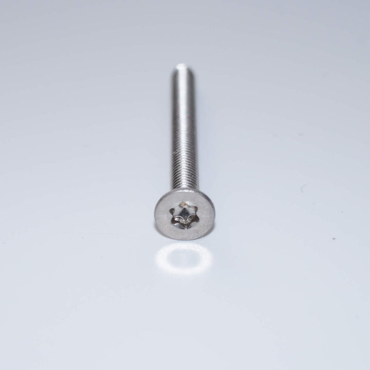 Senkschrauben mit Innensechsrund M6X40 TX30 100 Stück ISO 14581 A2 Edelstahl rostfrei Senkkopfschrau
