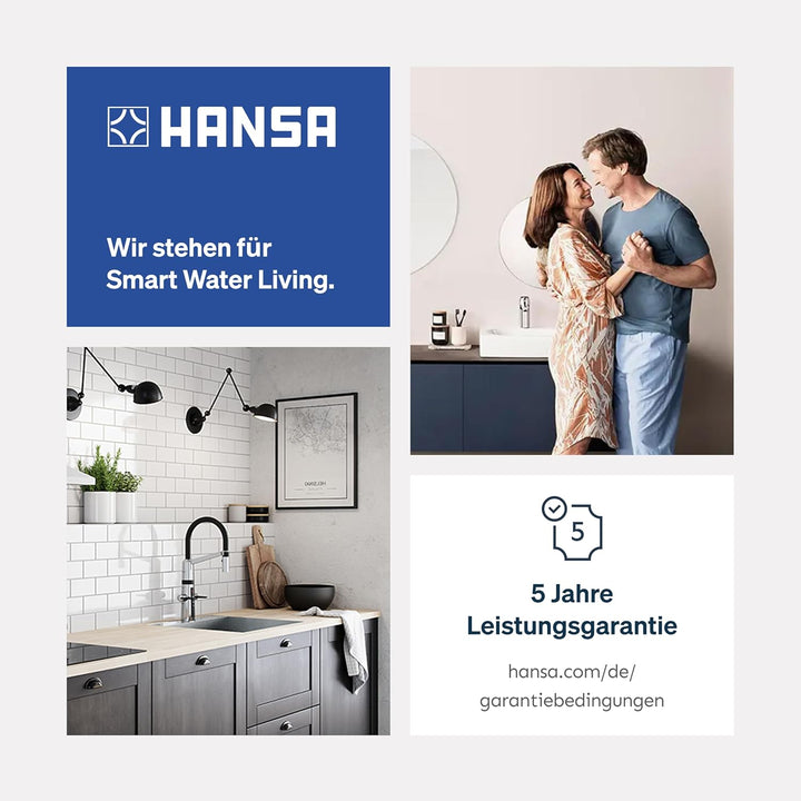 Hansa 01142283 Hansamix Spültisch-Einhand-Einlochbatterie, Chrom