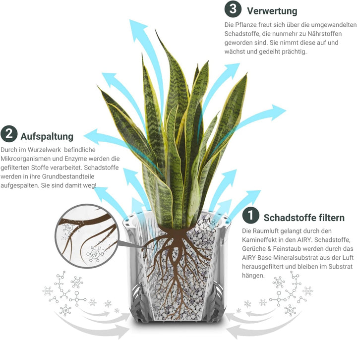 AIRY Pot S mit 3L Airy Base Substrat • Biologischer Luftreiniger filtert Schadstoffe, Allergene & Ge