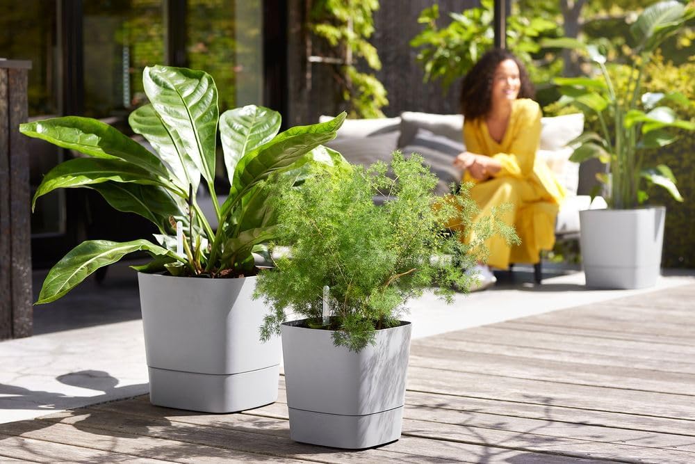 elho Greensense Aqua Care Quadrat 30 mit Integrierte Wasserspeicher - Blumentopf für Innen & Aussen