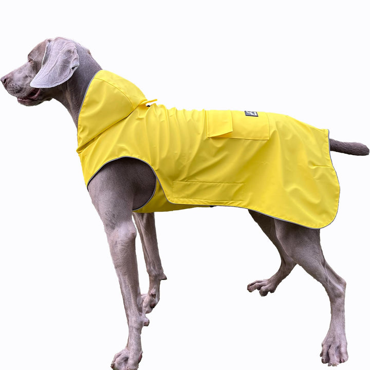 Hunde-Regenmantel, nicht steif, superweich, reflektierend, verstellbar, leicht zu tragen, Loch für d