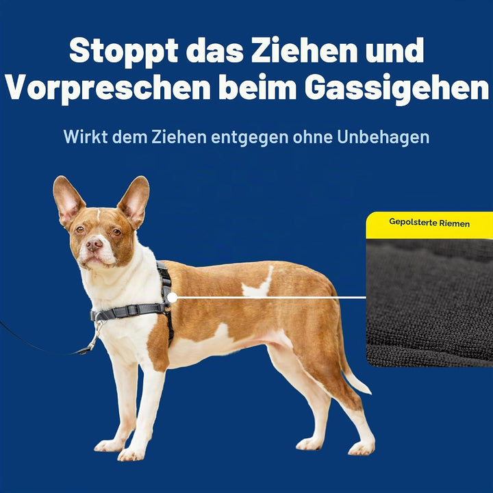 PetSafe Deluxe Easy Walk Hundegeschirr Stahlgrau / Schwarz Medium, Stahlgrau / Schwarz Medium