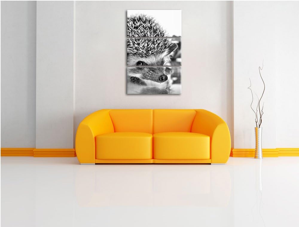Pixxprint Süsser Igel als Leinwandbild/Grösse: 3 Teilig (120x80 cm) cm/Wandbild/Kunstdruck/fertig be