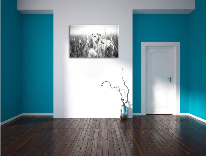 Pixxprint Neugieriger Hund im Feld Kunst als Leinwandbild/Grösse: 100x70 / Wandbild/Kunstdruck/ferti