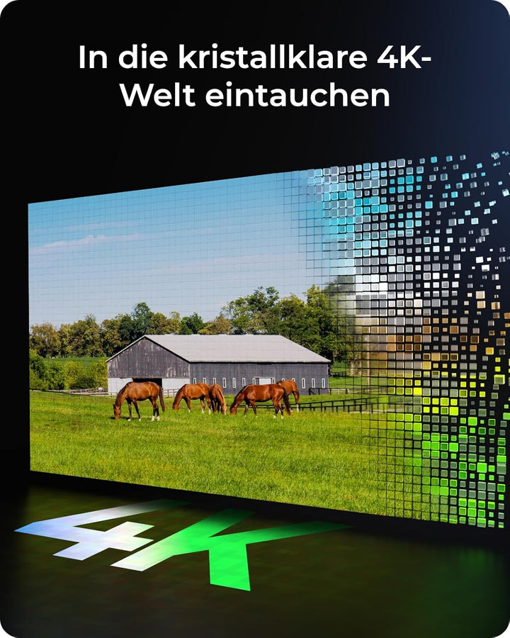 Reolink 4K 4G LTE Überwachungskamera mit SIM Karte, 8MP Solar Kamera Outdoor ohne WLAN, Person/Auto/