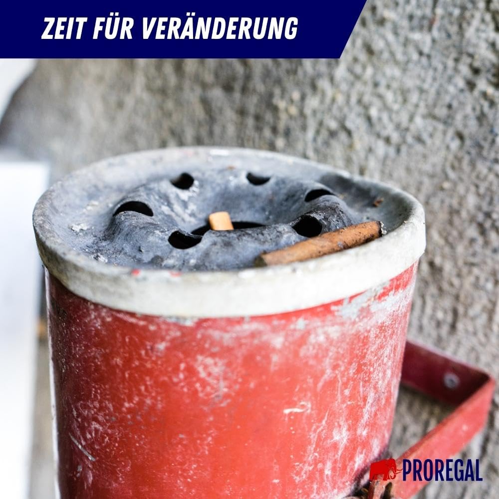 PROREGAL Runder Sicherheits-Wandaschenbecher mit Kippvorrichtung | 2 Liter, HxØ 16x16cm | Metall | R