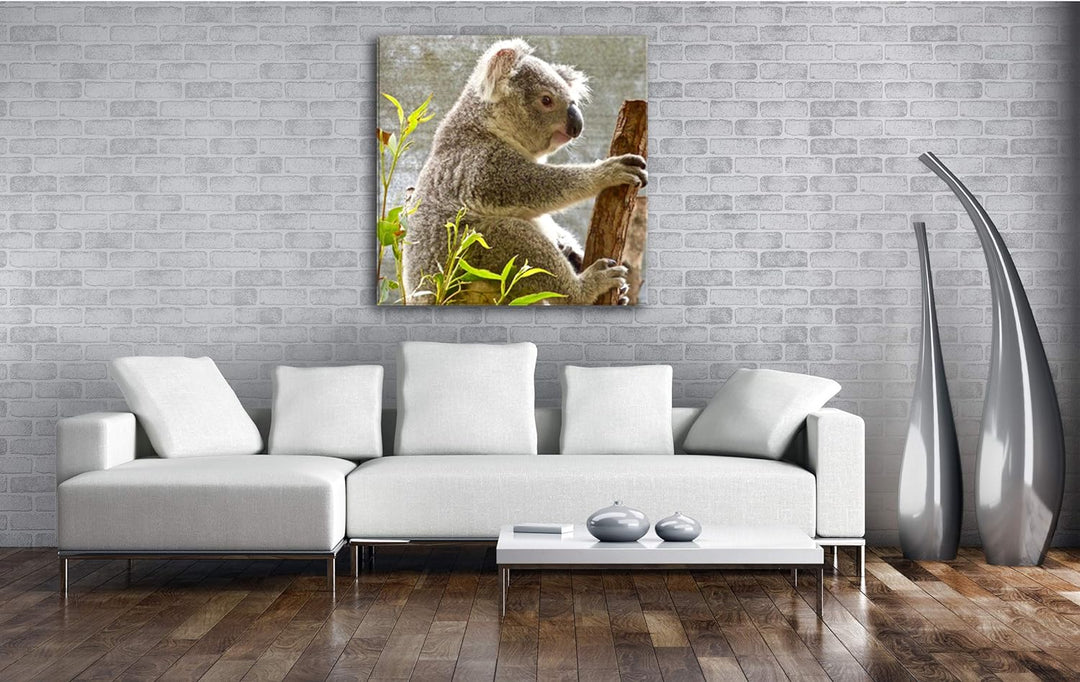 deyoli süsser Koalabär Format: 60x60 als Leinwandbild, Motiv fertig gerahmt auf Echtholzrahmen, Hoch