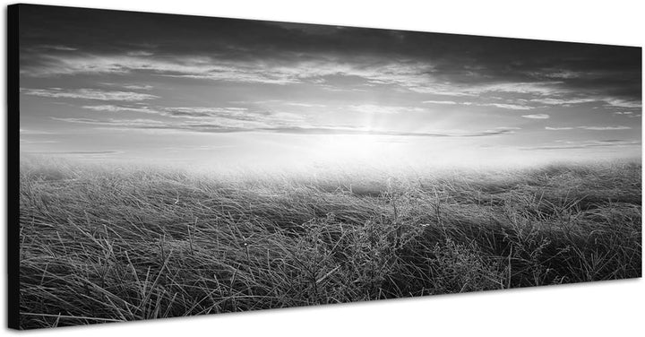 Paul Sinus Art Leinwandfoto als Panorama SCHWARZ/Weiss 150x50cm Feld Herbst Sonnenuntergang Wolken