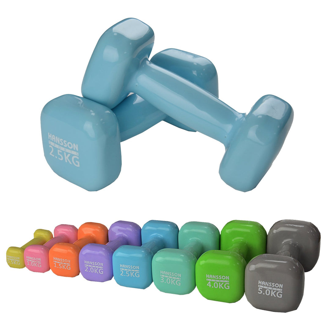 Hansson 2er Set Vinyl Hantel Gymnastikhantel 0,5 kg – 5 kg Auswahl 2 x 2,5 kg (Hellblau), 2 x 2,5 kg
