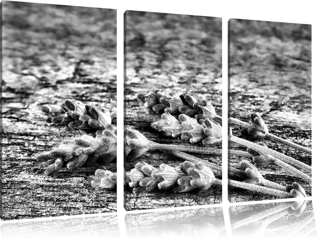 Pixxprint Liegender frischer Lavendel als Leinwandbild/Grösse: 3 Teilig (120x80) cm/Wandbild/Kunstdr
