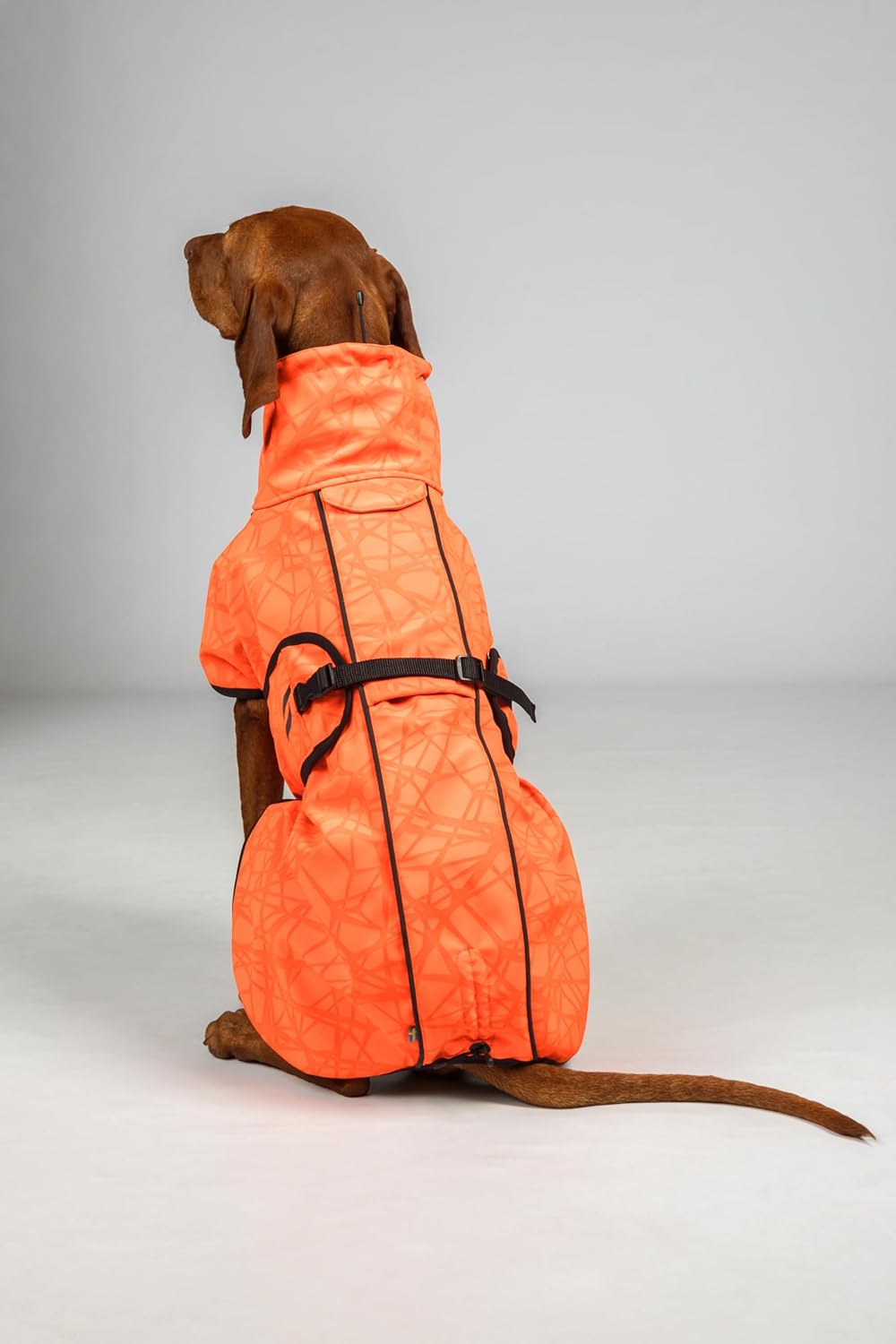 Back on Track Bark Allround Hundemantel orange (55 cm), 55 cm
