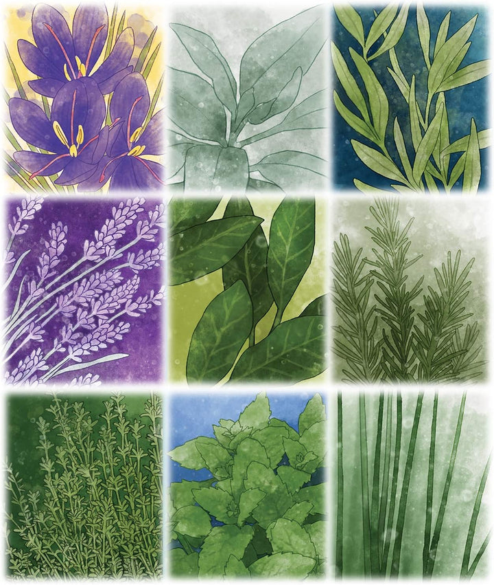 HERBACEOUS