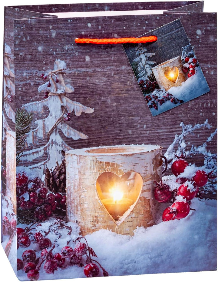 TSI Geschenktüten WEIHNACHTEN SERIE 10, 12er Packung, Grösse: Mittel (HxBxT 23 x 18 x 10 cm), Art. N
