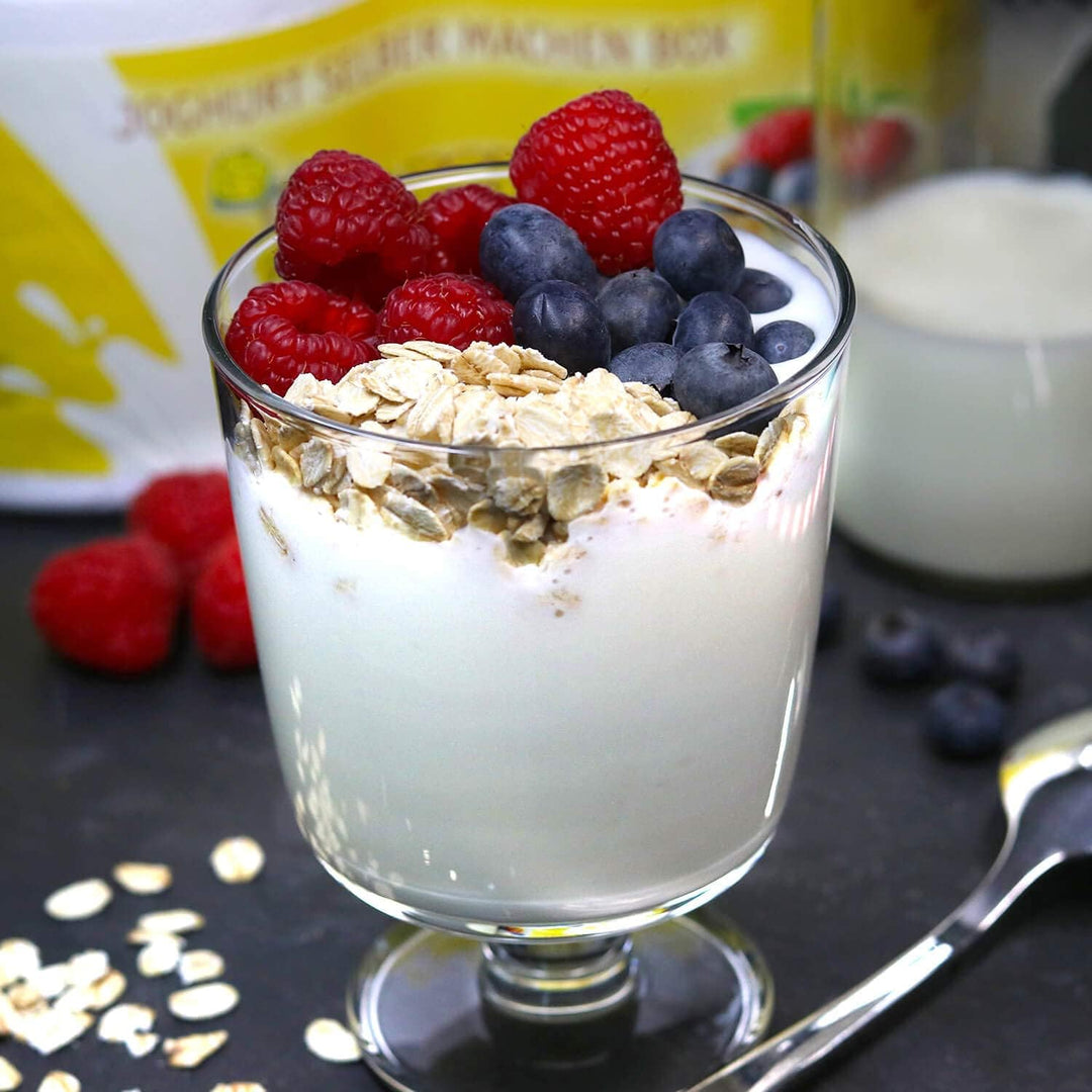 Joghurt selber Machen - Starter Set (ohne Strom) inkl.