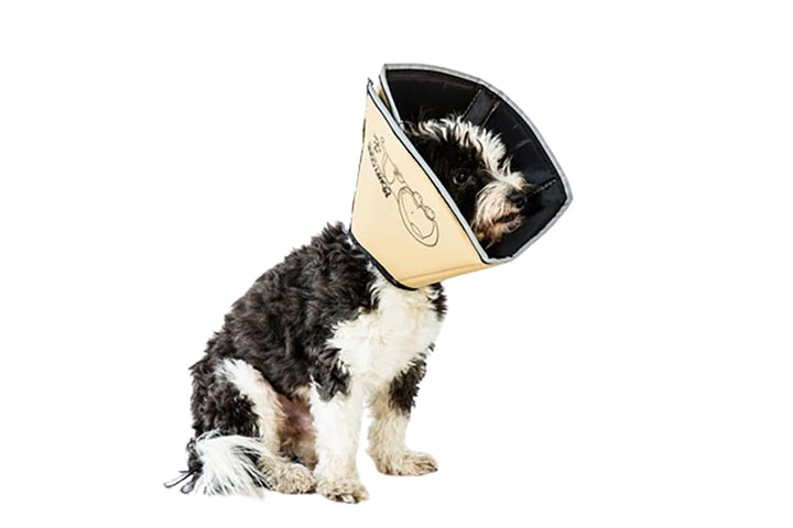 All Four Paws „The Comfy Cone“ Halskrause für Haustiere, Large Large hautfarben, Large hautfarben