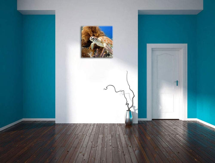 Meeresschildkröte, Format: 70x70 auf Leinwand, XXL riesige Bilder fertig gerahmt mit Keilrahmen, Kun