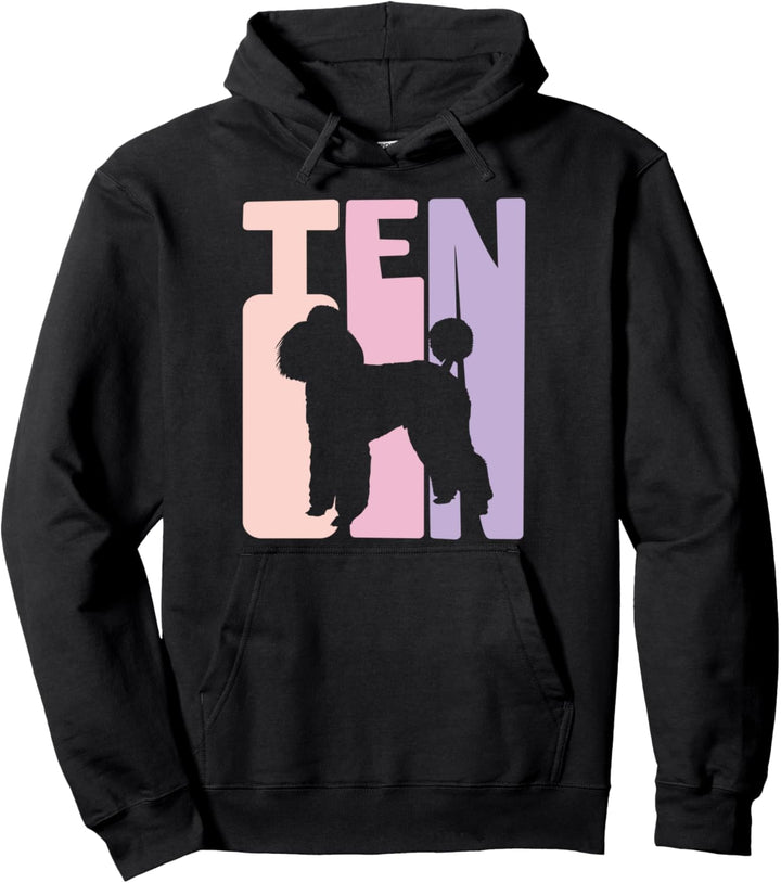 10. Geburtstag Mädchen Pudel Retro Hundepudel Pullover Hoodie