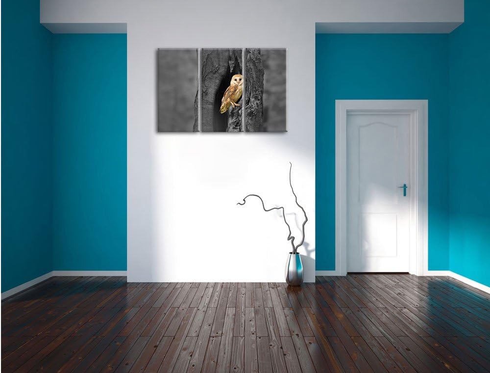 Pixxprint Schleiereule Baumhöhle / 3-Teilig/Gesamtmass 120cm Leinwandbild bespannt auf Holzrahmen/Wa