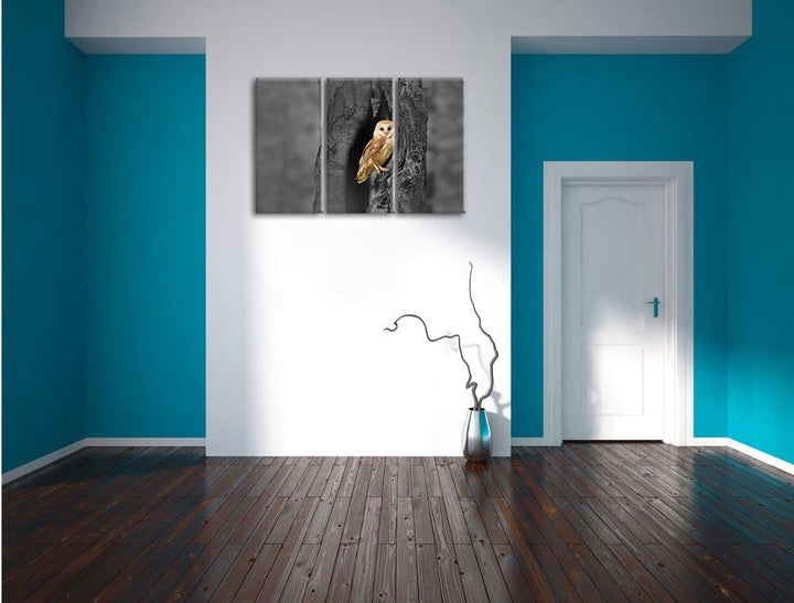 Pixxprint Schleiereule Baumhöhle / 3-Teilig/Gesamtmass 120cm Leinwandbild bespannt auf Holzrahmen/Wa