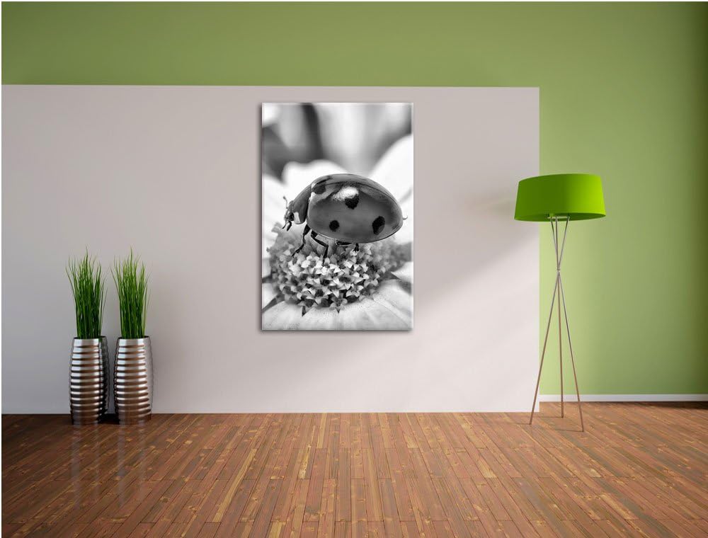 Pixxprint Marienkäfer auf Gänseblümchen als Leinwandbild/Grösse: 100x70 cm/Wandbild/Kunstdruck/ferti