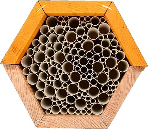 Esschert Fallen Fruits WA55 BEE Haussechskant, Braun
