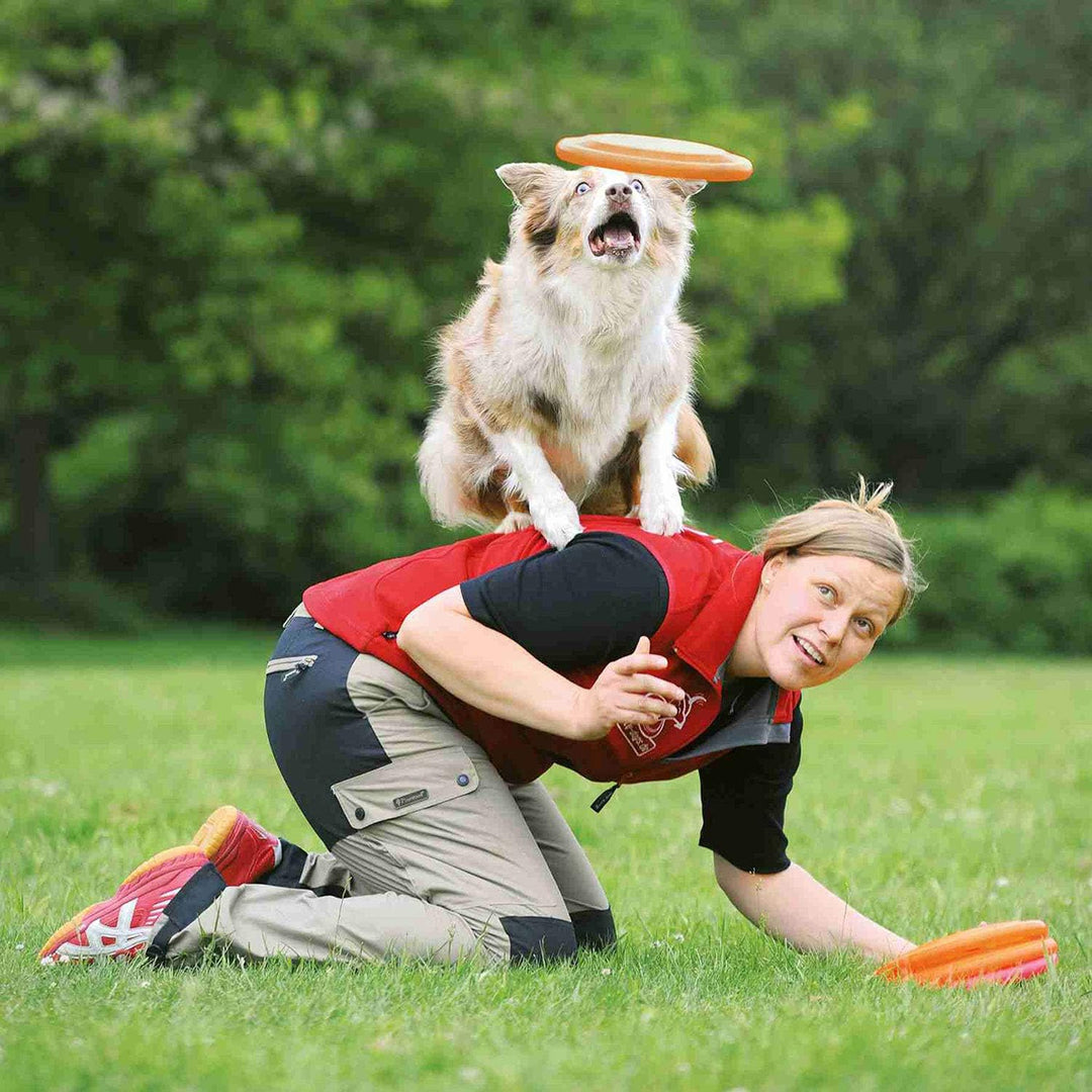 TRIXIE Pylonen-Hindernis-Set - strapazierfähiges Trainingszubehör für Hunde Agility-Training - ø 30