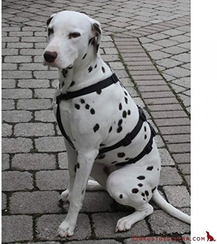 Hoffmann NoExit Hundegeschirr® - ausbruchssicher, Panikgeschirr, braun mit beigen Pfötchen, Bauchumf