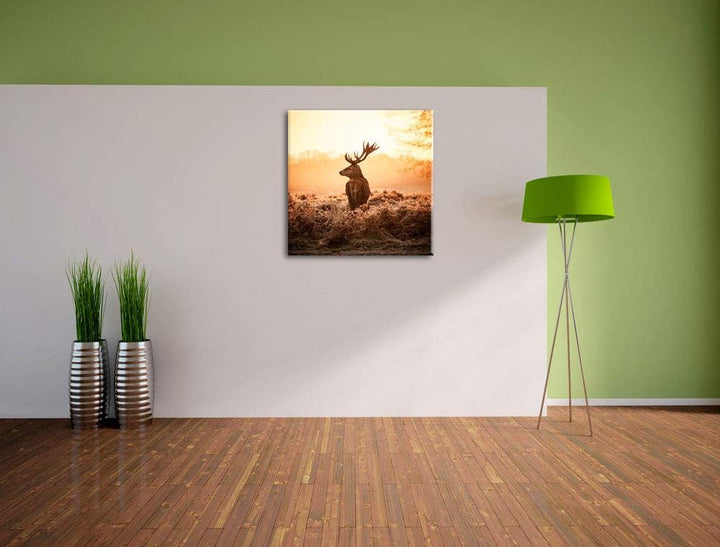 Pixxprint Stolzer Hirsch, Format: 70x70 auf Leinwand, XXL riesige Bilder fertig gerahmt mit Keilrahm