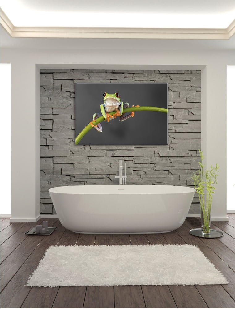 Pixxprint Baum-Frosch auf Bambus als Leinwandbild/Grösse: 100x70 / Wandbild/Kunstdruck/fertig bespan