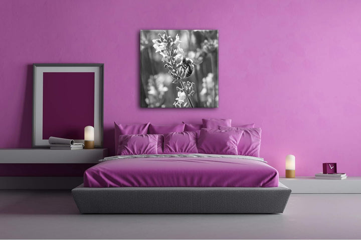 deyoli Blühender Lavendel Format: 60x60 Effekt: Schwarz&Weiss als Leinwandbild, Motiv fertig gerahmt