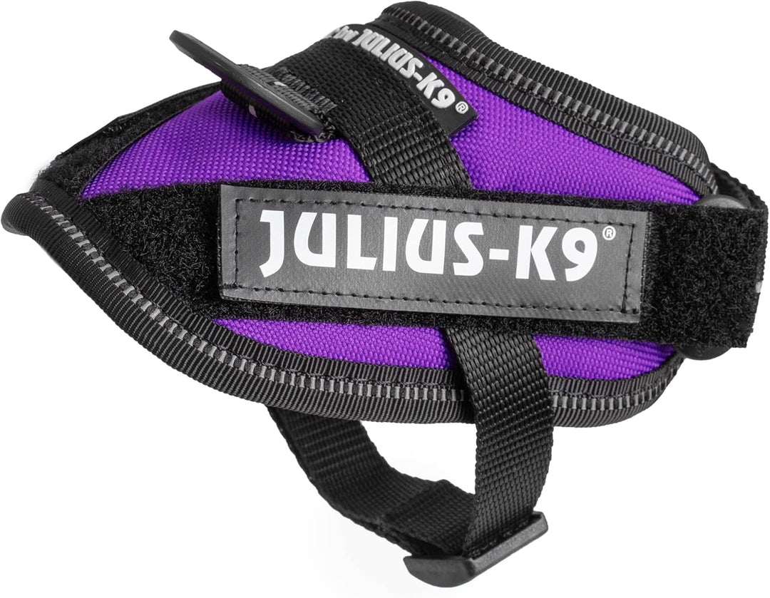 Julius-K9, IDC Powergeschirr, Grösse: 3XS/Baby 1, Dunkelviolett
