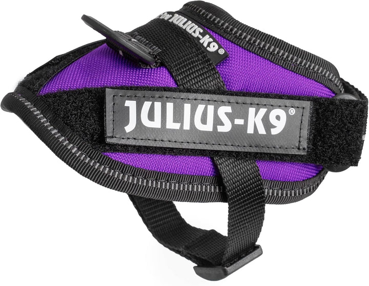 Julius-K9, IDC Powergeschirr, Grösse: 3XS/Baby 1, Dunkelviolett