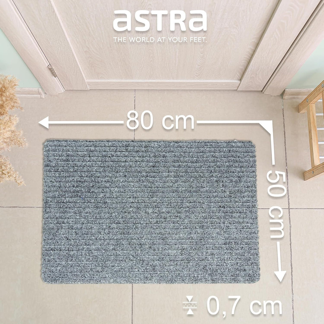 Astra Fussmatte innen Silber Schmutzfangmatte rutschfest – Türmatte 50x80 cm 2er Set wasserabweisend